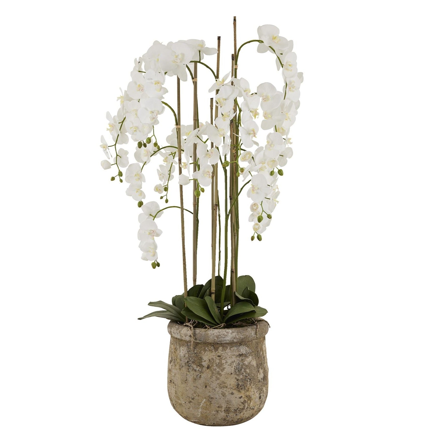 Floor Standing Orchids Antique Stone Pot 5 Foot Tall