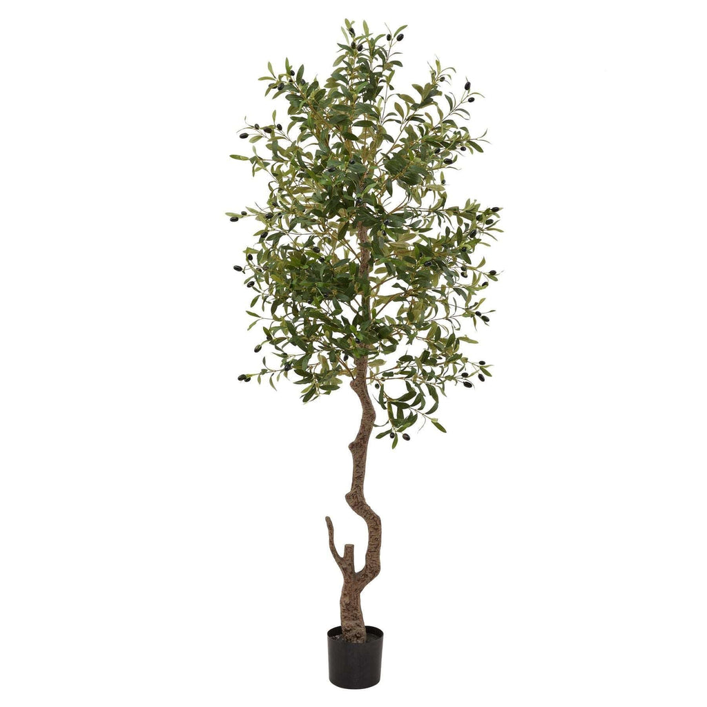 Calabria Large Tree 180cm Tall