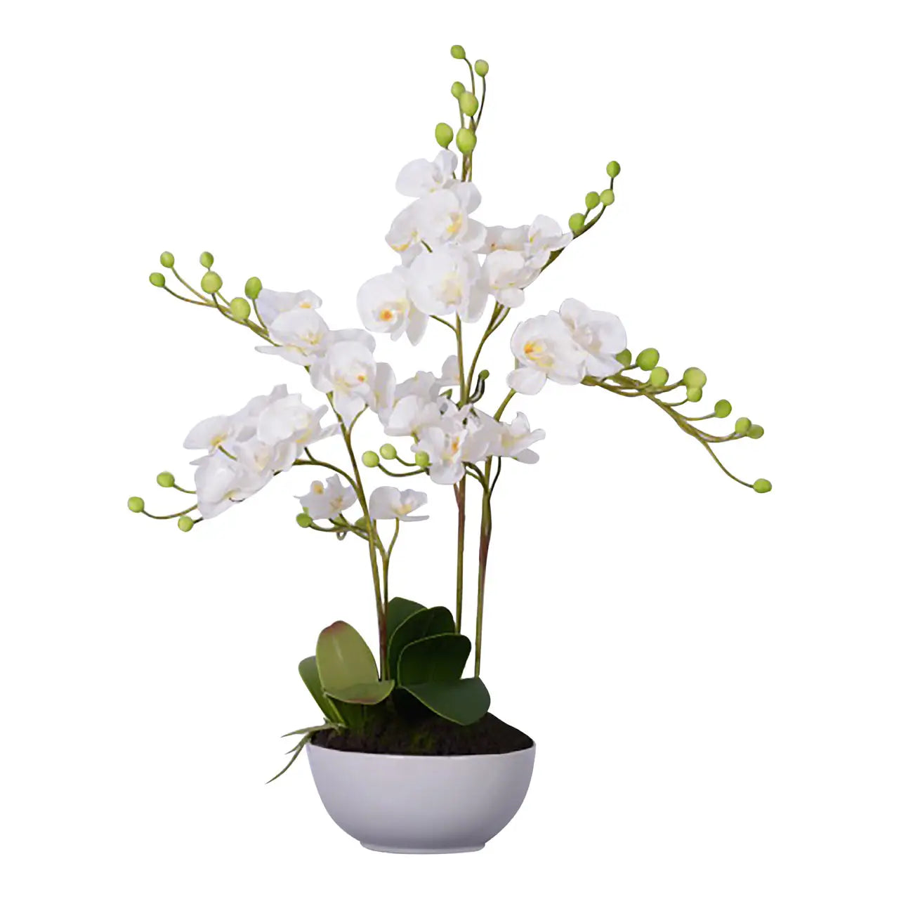 Extra Large Real Touch Orchid Plant Ceramic Pot 81cm Tall